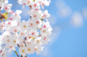 spring